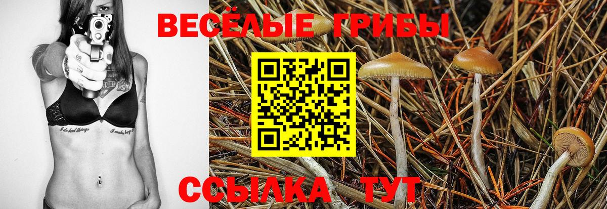 Псилоцибиновые грибы GOLDEN TEACHER  Вход с VPN  Королёв 