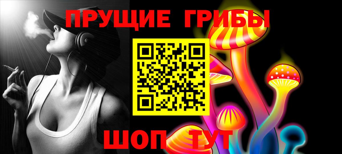 Галлюциногенные грибы Cubensis Королёв